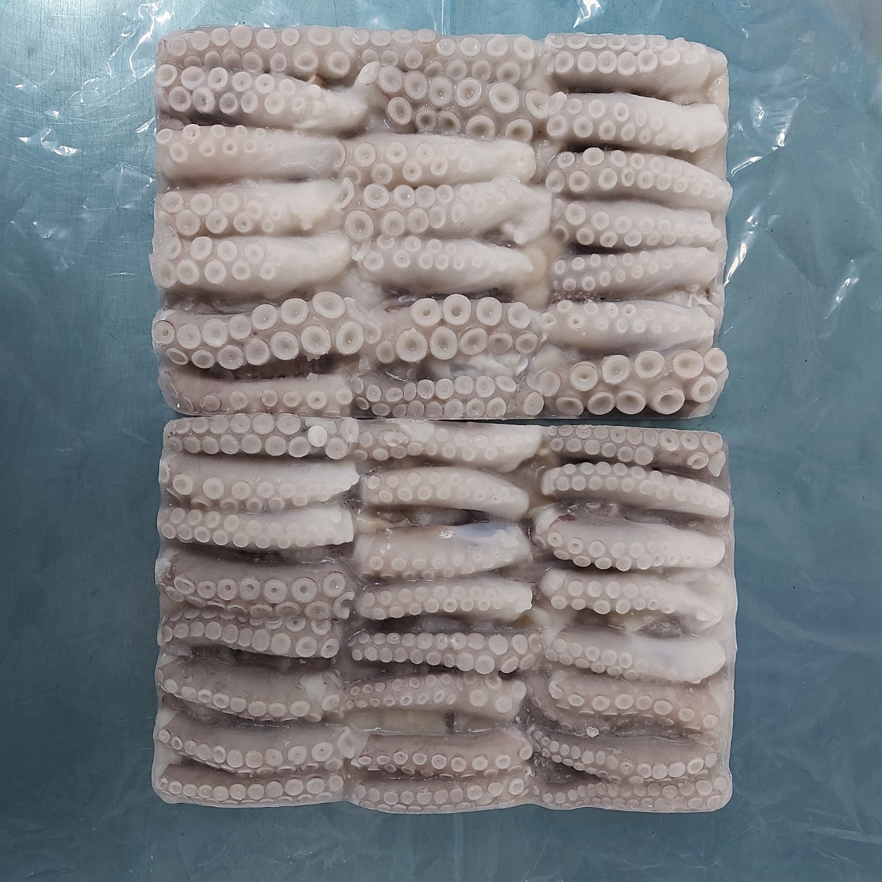 Cut Poulp Squid view 1